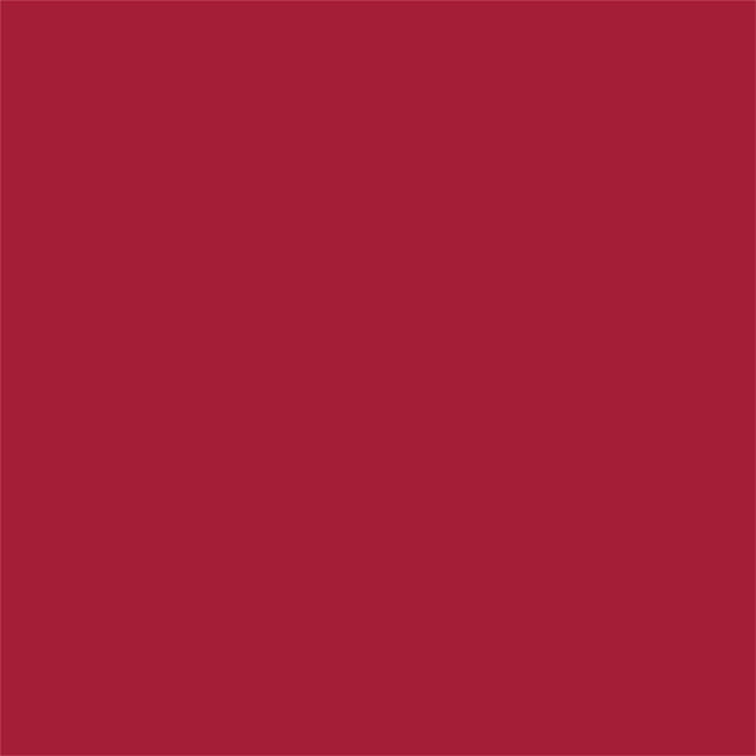 Workwear Revolution V-Neck Top-WW620 - Red