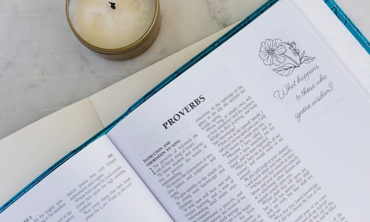 Personal Reflections Kiv Bible With Prompts