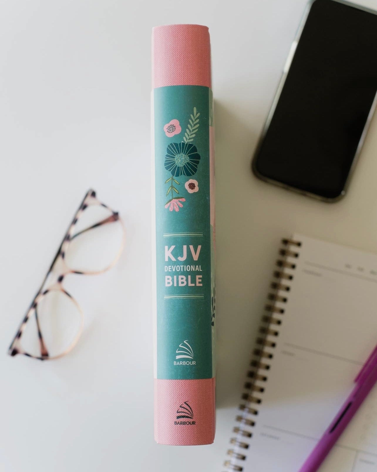 Daily Wisdom For Teen Girls KJV
Devotional Bible - Blush Rain