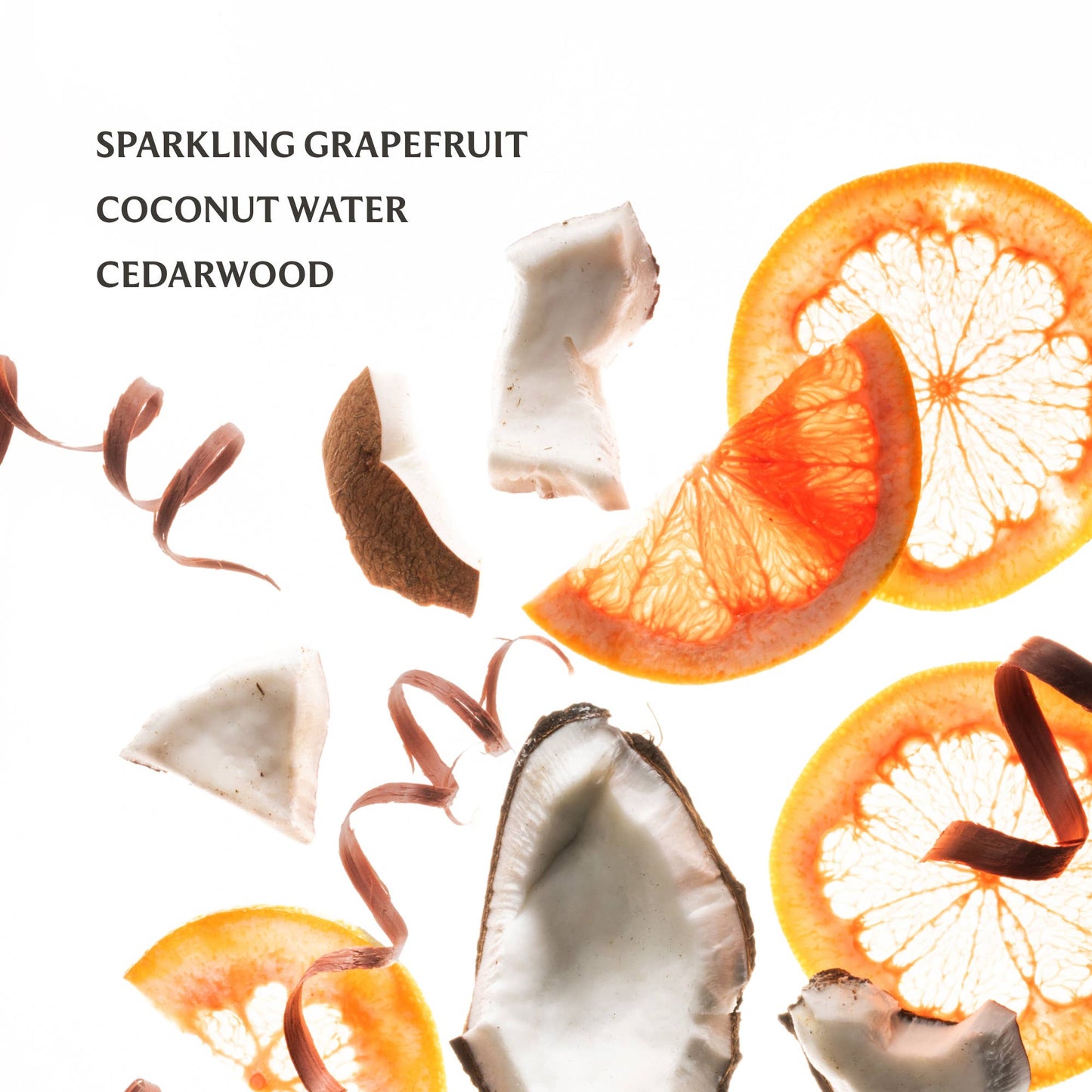 Touchland Beach Coco Power Mist Hydrating Hand Sanitizer