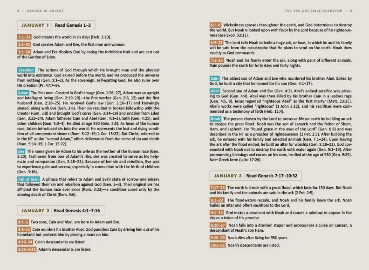 The 365-Day Bible Overview