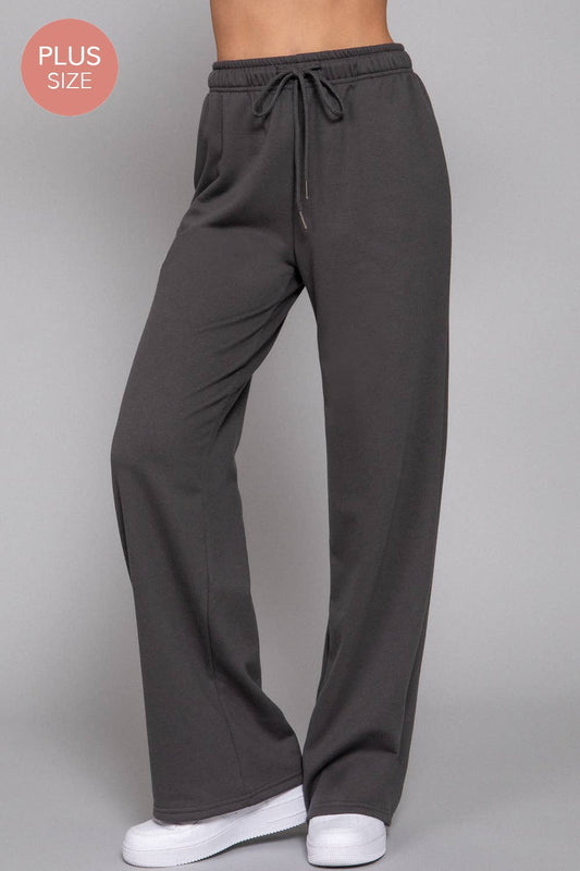 Plus Size Deep Charcoal Straight Leg Inner Fleece Jogger Pants