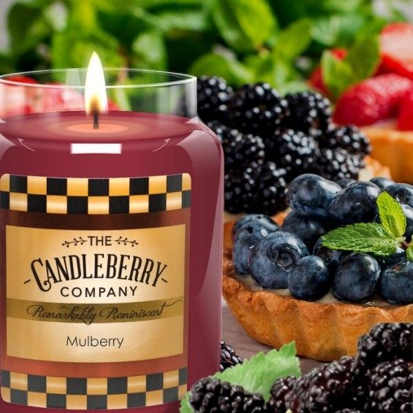 Candleberry Mulberry